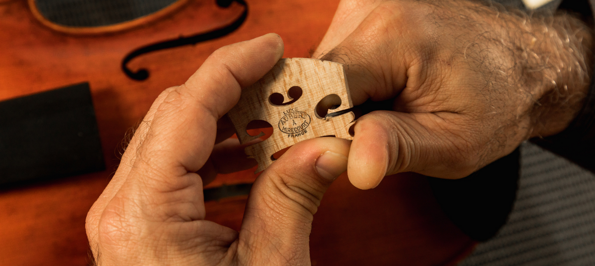 Instrument Asset Replacement Schedule and Plan for Your School