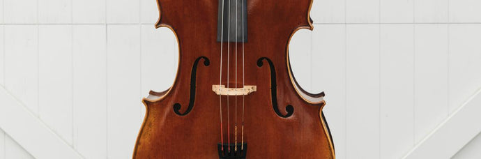 Product Review: Larsen Soloist Cello Strings