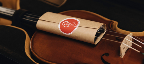 The Biggest Mistakes People Make When Buying A Second Hand Violin