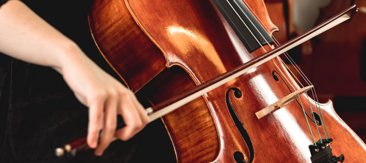 Cello Price Guide (What to Expect in Every Price Range!)
