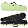 RAAN Shaped Violin Case Spring Grass 1/4-1/2