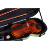 RAAN Shaped Violin Case Spring Grass 1/4-1/2