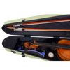 RAAN Shaped Violin Case Spring Grass 1/4-1/2