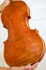 Stefano Marzi Viola 16" Bibbiena 2017