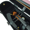 ART Shaped Violin Case Fairy Floss 3/4-4/4