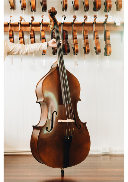Concerto Double Bass Outfit