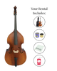 Beginner Double Bass Rental