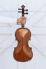 Geronimo Barnabetti Violin from the Jérôme Thibouville-Lamy Workshop Paris c. 1900's