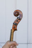 Geronimo Barnabetti Violin from the Jérôme Thibouville-Lamy Workshop Paris c. 1900's
