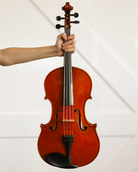 James William Robinson 17