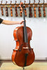 Jay Haide Cello Vuillaume Model with European Timbers 4/4