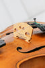 Bohuslav Lantner Violin Prague 1905