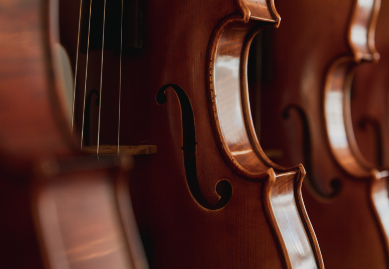 String Instruments Strings Simply for Strings - String Instruments, Cases, Bows & Sheet Music