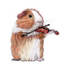 Sticker - Guinea Pig playing Violin