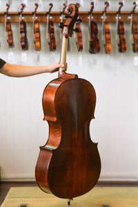 Virtuoso Cello Outfit