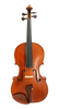 Verdi Viola