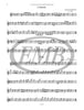 Ad Libitum Intermediate Level Trios (EMB)