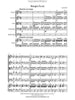 Boogie Fever (Loreta Fin) for String Orchestra