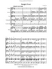 Boogie Fever (Loreta Fin) for String Orchestra