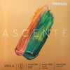 D'Addario Ascente Viola D String 13"-14"