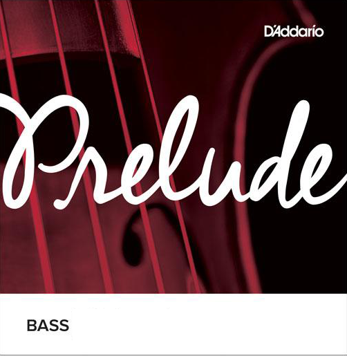 D'Addario Prelude Double Bass D String 1/8