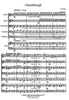 Glendalough (Keith Sharp) for String Orchestra