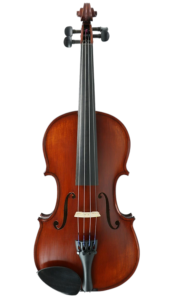 Gliga II Violin Outfit with Dark Antique Varnish 1/10