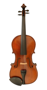 Gliga III Viola Outfit 13