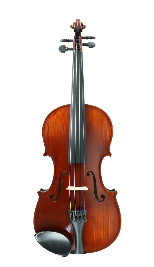 Gliga Vasile Professional Series Violin Dark Antique Model 4/4 – Simply ...