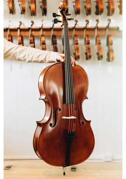 Jay Haide L'Ancienne Cello Montagnana Model 4/4
