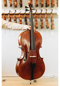 Jay Haide L'Ancienne Cello Montagnana Model 7/8