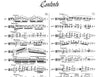 Paganini, 24 Caprices Op. 1 for Viola (IMC)