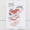 Parts of the Violin Poster - A2 Size