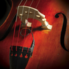 Realist Copperhead Piezo Transducer for Double Bass