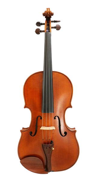 Verdi Viola 16"